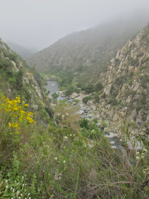 river with steep walls on both sides with fog