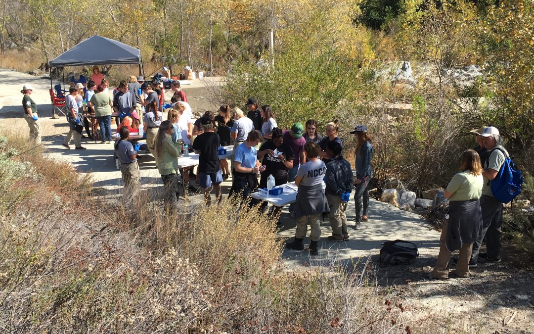 view of students and educators working at tables near a river