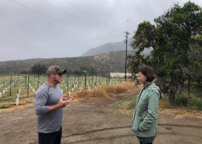 A man and a woman face each other, vineyard and orange tree behind them, hills and cloudy sky in background