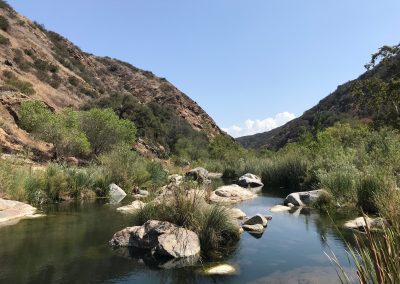 A pool of water with rocks and reeds, canyon walls to either side