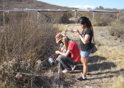 An instructor shows a student how to use a piece of scientific equipment to measure photosynthesis while another student takes notes