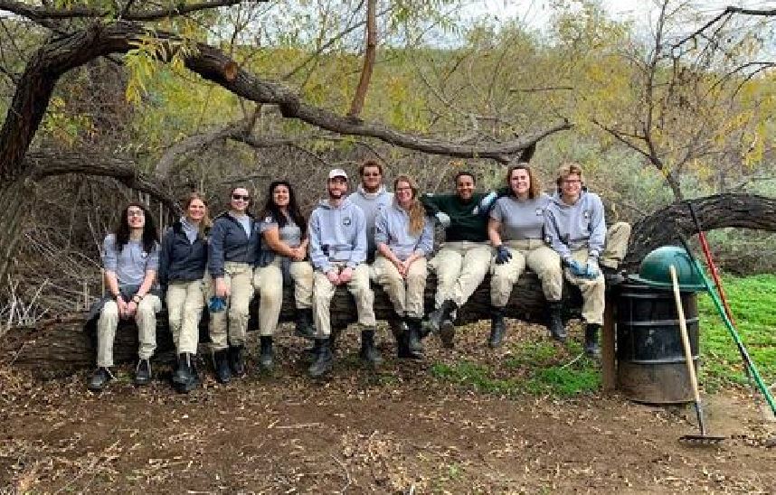 ten young people sitting in a lind on an oak tree brance with a trash can and rakes