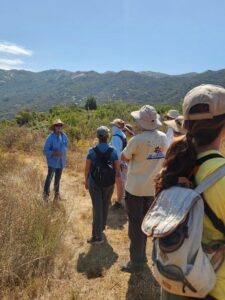 group of walkers outside